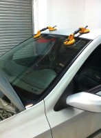 /album/autolunas-benalmadena-/image-9-jpg/